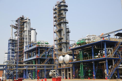 奮力在全省化工產業新舊動能轉換中率先突破